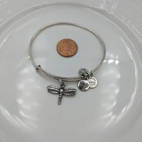 Alex and Ani Rafaleian Silver Dragonfly Bracelet - Picture 3 of 6